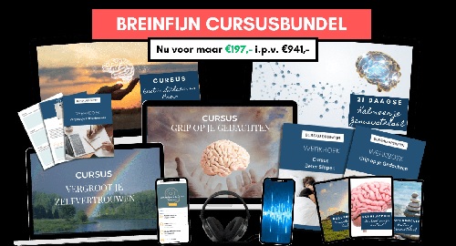 Breinfijn cursusbundel